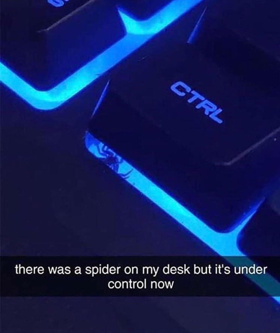 spiderputer - meme