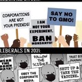 Libs are hypocrites (so are conservatives)