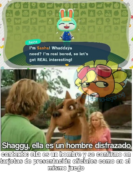 Examinar detenidamente Pinchazo uvas Top memes de Shaggy Ella Es Un Hombre Disfrazado en español :) Memedroid