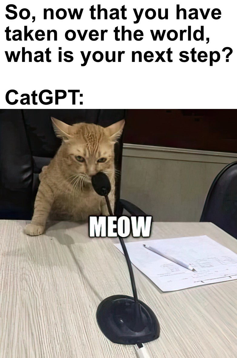Cat GPT - meme