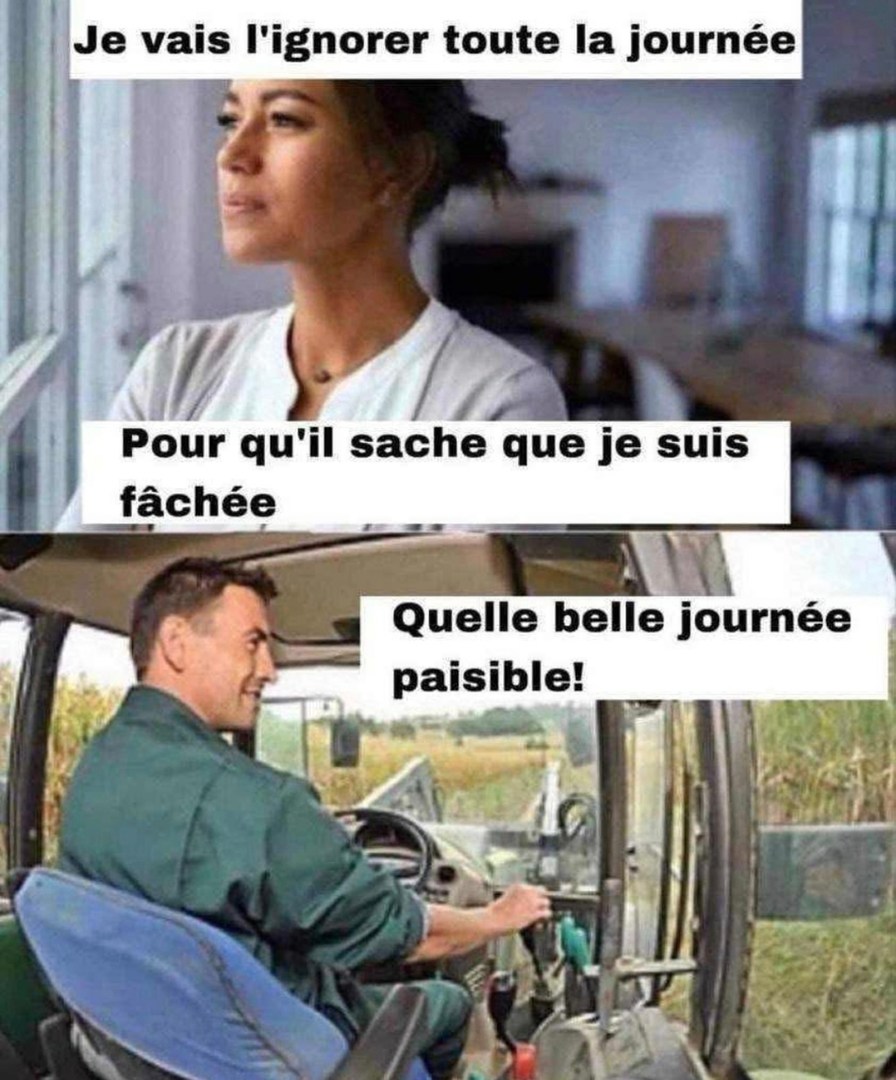 Je l’ignore toute la journée pour qu’il comprenne… il passe une journée paisible - meme