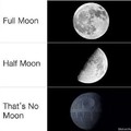 Moon moon?