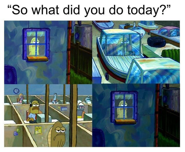 So what did you do today? - meme