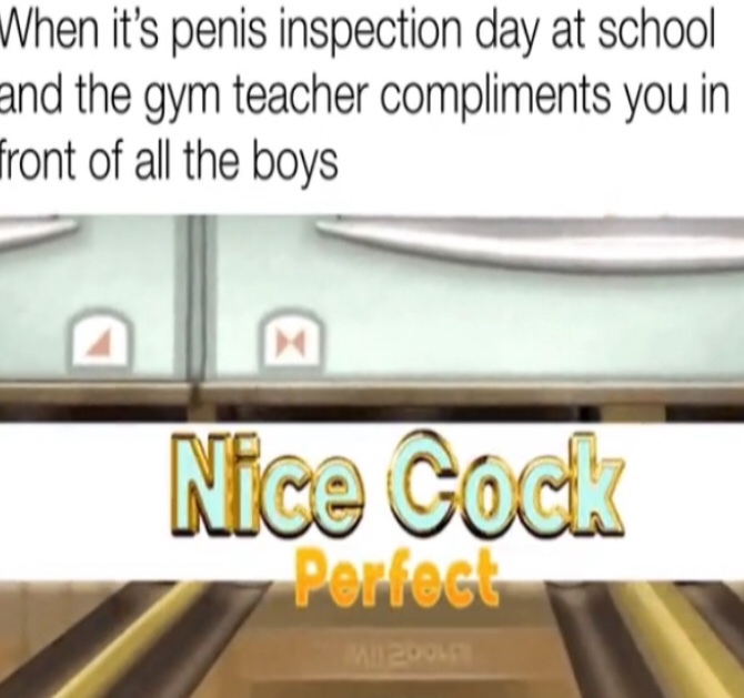 Nice Cock - meme