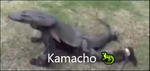 Kamacho (creditos a lil) - meme