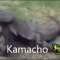 Kamacho (creditos a lil)