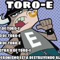 TORO-E