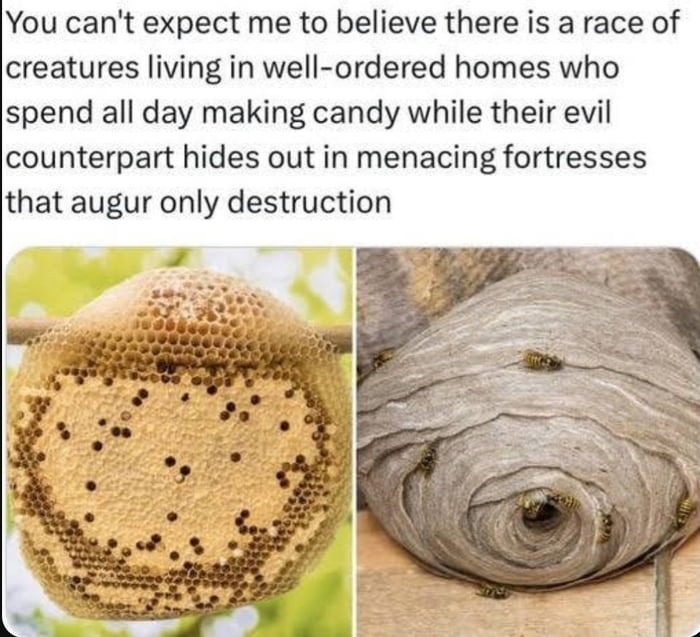 Introduction to bees - meme