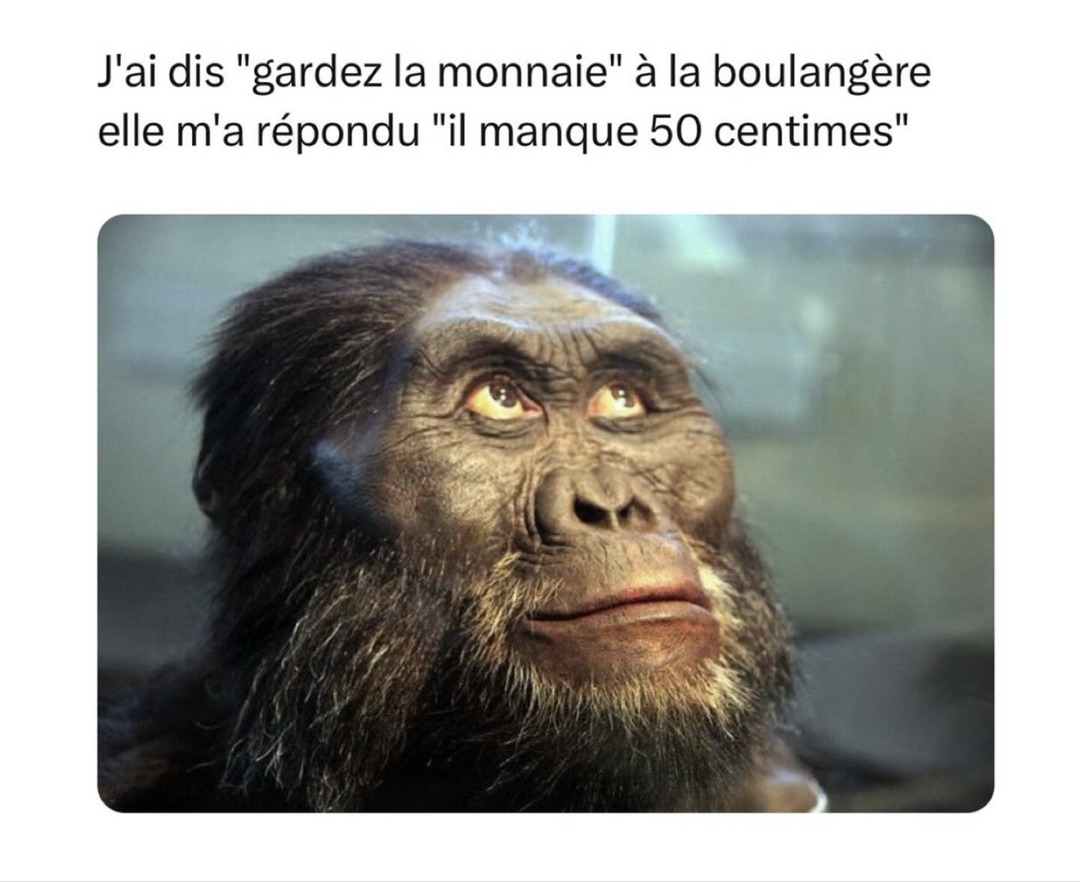 The pain is real. The baguette aussi. - meme