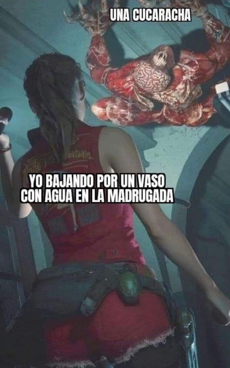 Yo de madrugada topándome al boss final en la cocina - meme