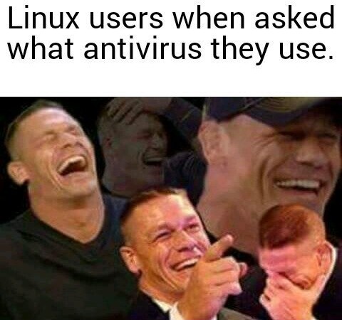 Hehehe, linux is supperior - meme