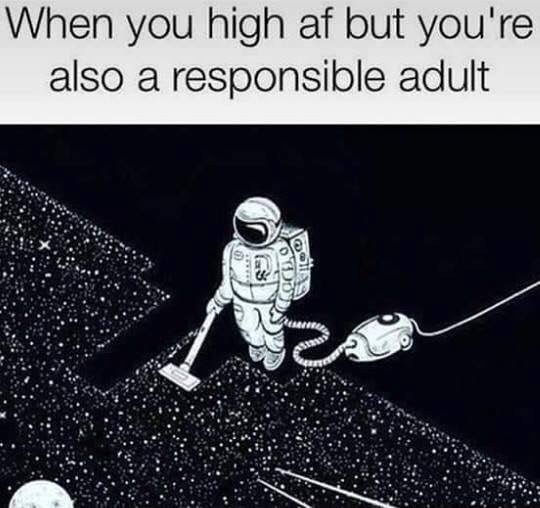 When you are high af but you're also a responsible adult - meme
