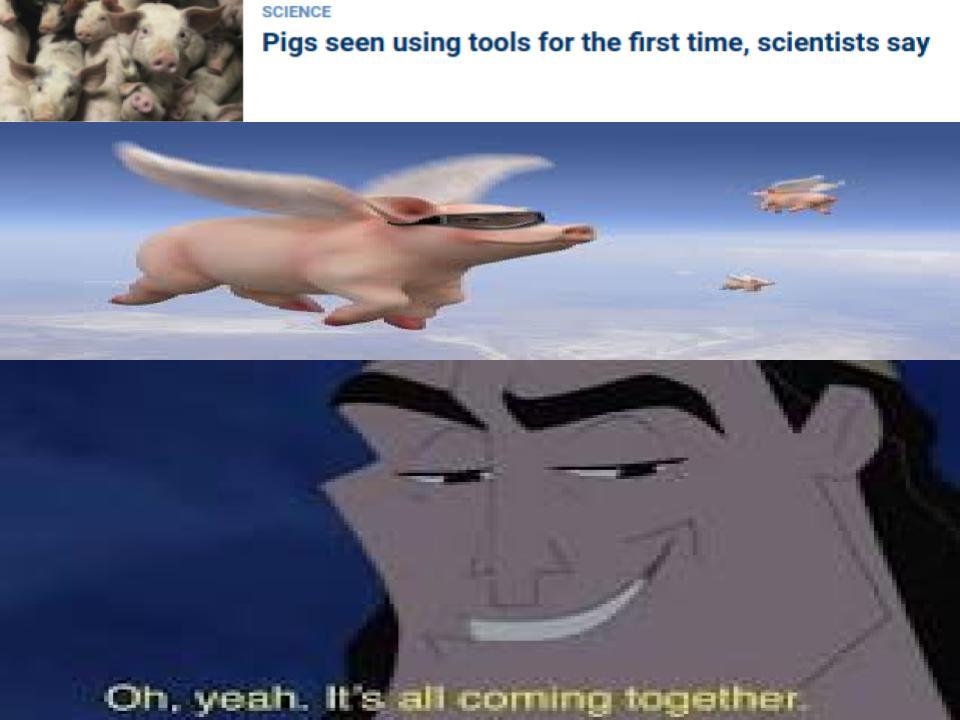 Pigs are gonna fly - meme