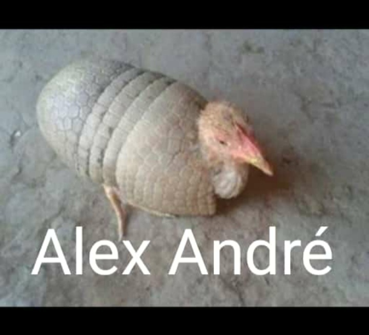 Alexandre não existe, os Alexandres na verdade se chamam Alex André, Alexandre é só apelido - meme