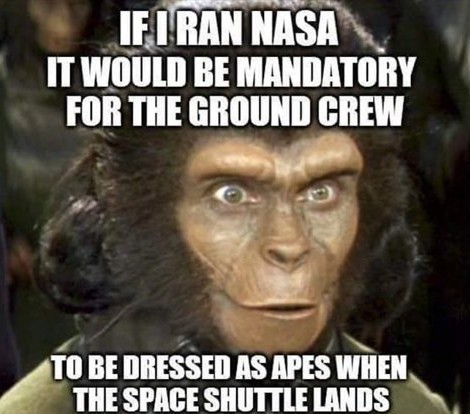 Space monkeys! - meme