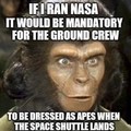 Space monkeys!