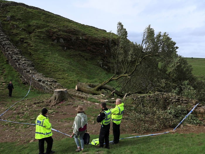 A 16 year old cut down the famous Robin Hood tree at Scamore gap in Hadrians Wall. - meme