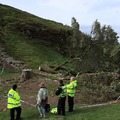 A 16 year old cut down the famous Robin Hood tree at Scamore gap in Hadrians Wall.