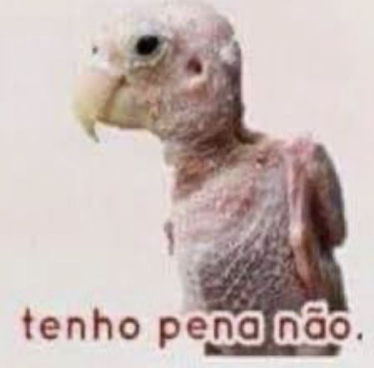 Tenho pena não - meme