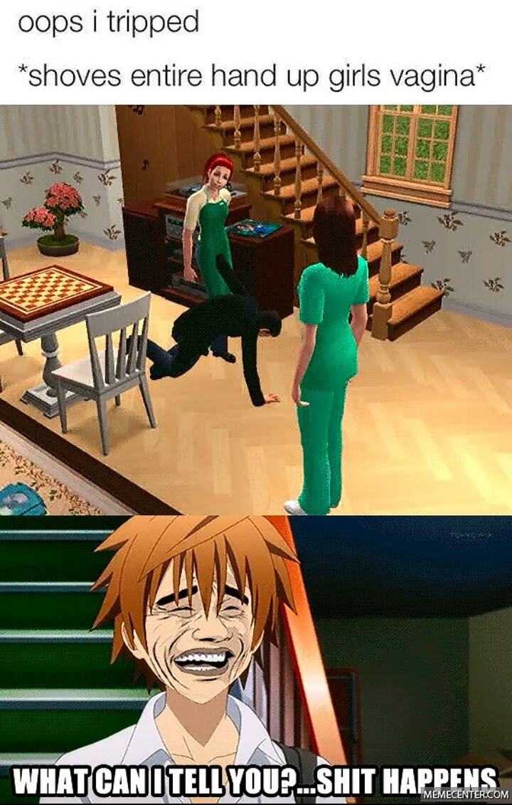Rito in the Sims - meme