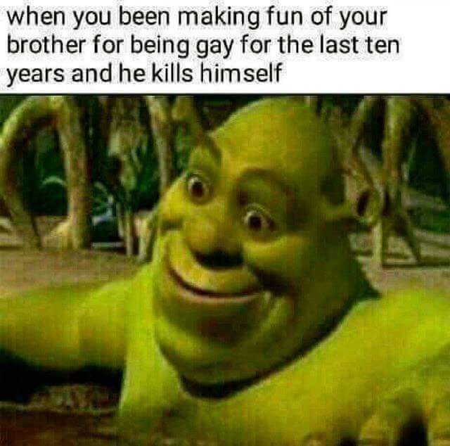Thats kinda Shreky - meme