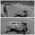 Oh Panzer of the lake, what is your wisdom?