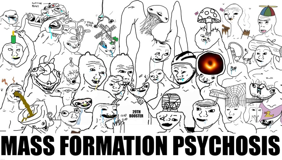 Mass Formation Psychosis - meme