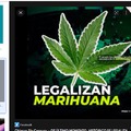 oooo legalizen la marihuana