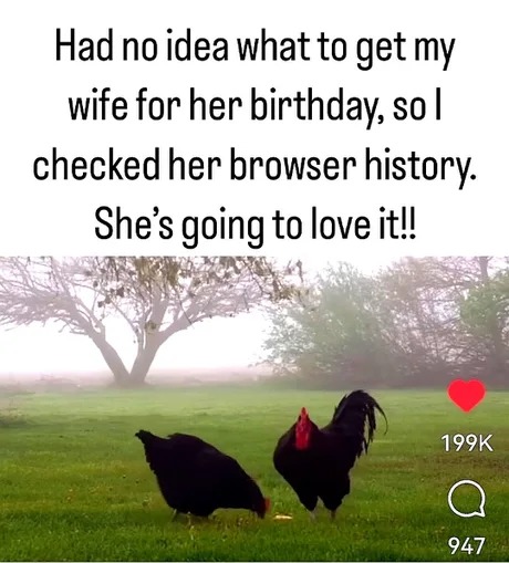 Wife's birthday meme