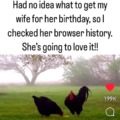 Wife's birthday meme