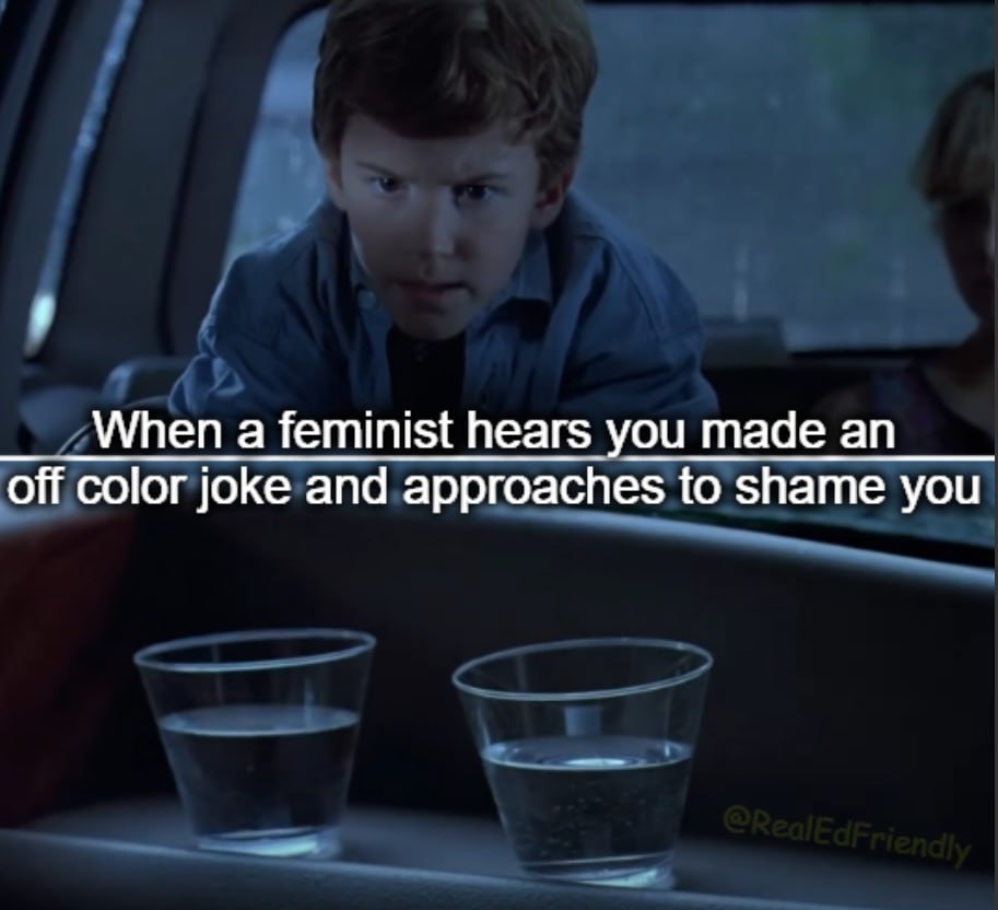 Feminists - meme