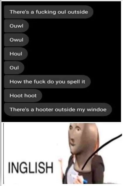Owl - meme