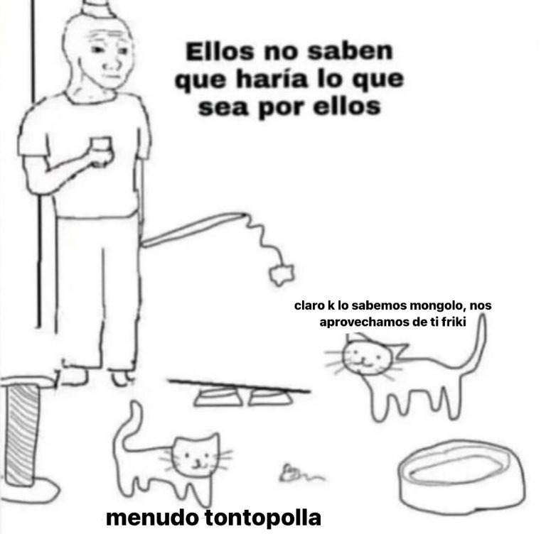 Pensamientos de gatos - meme
