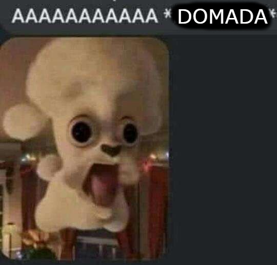 Memedroiders cuando los bardean:
