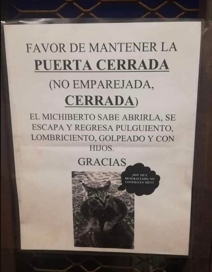 maldito michialberto - meme