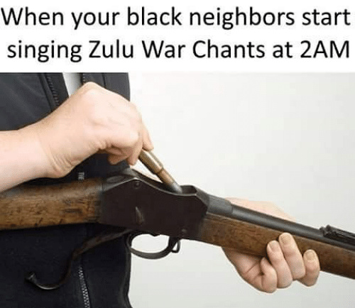 dongs in a zulu - meme