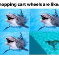Shopping cart wheels are like