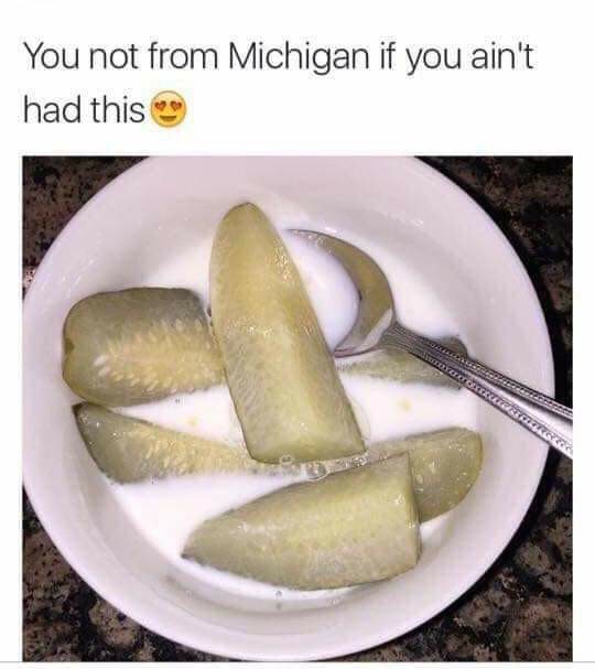 What the fuck is wrong with Michigan?! - meme