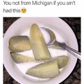 What the fuck is wrong with Michigan?!