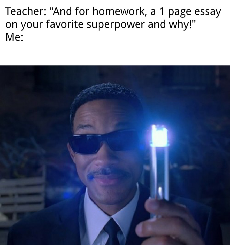 What essay? - meme