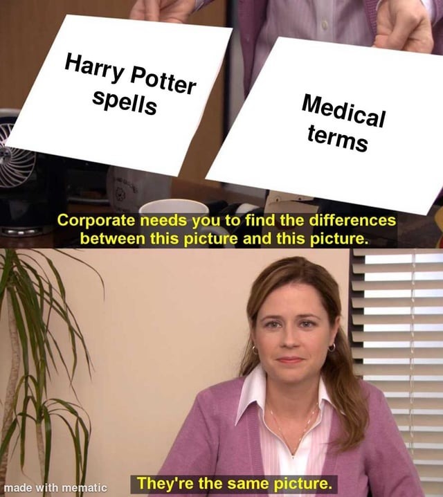 Harry Potter spells - meme