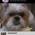 commented item thumbnail