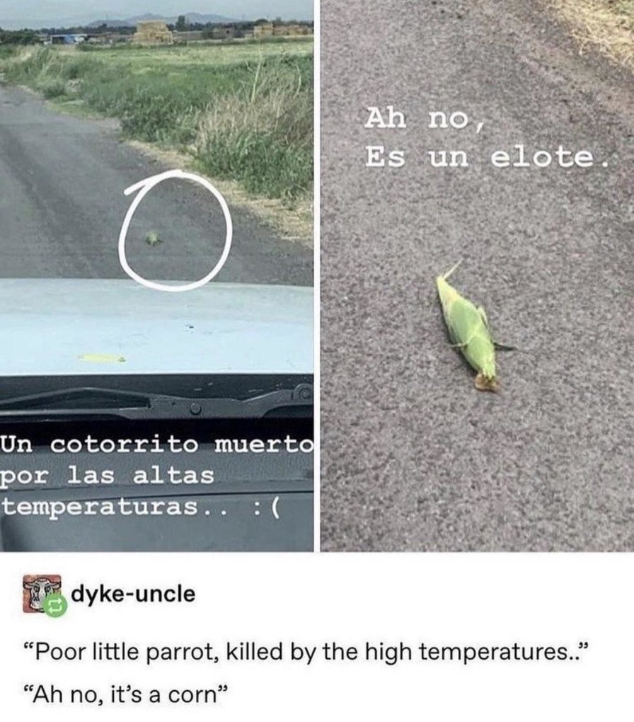 Not a dead parrot, just a confused corn - meme