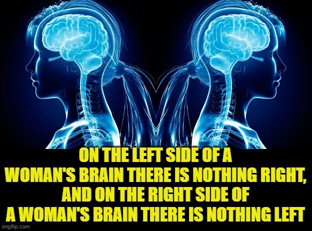 A womans brain - meme
