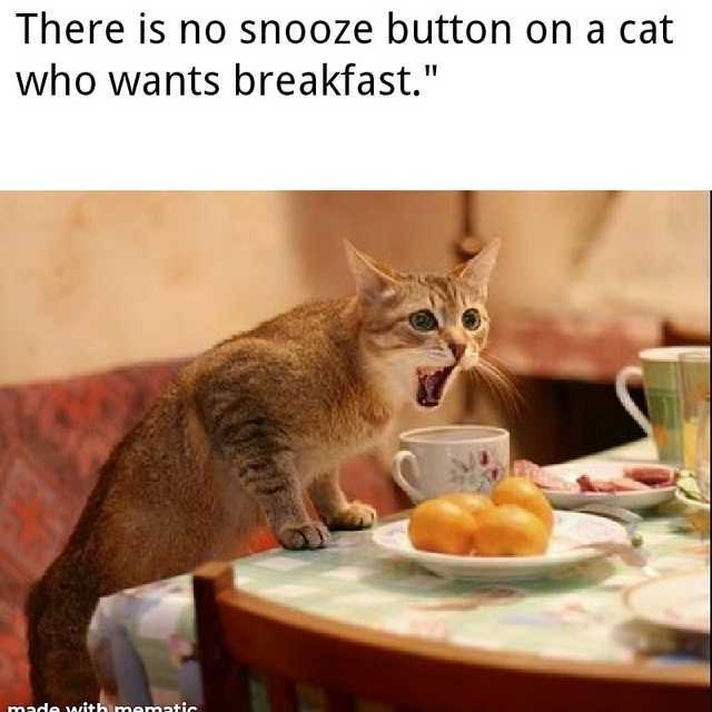 Alarm - Meme by DragonxBlue :) Memedroid