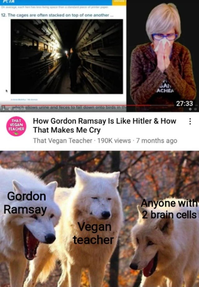 How Gordon Ramsay is like hitler and how that makes me cry - meme