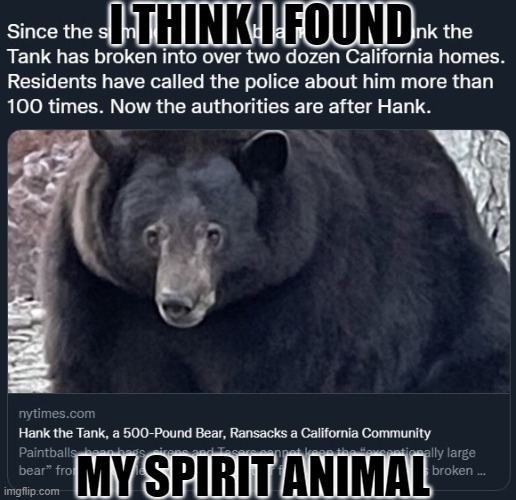 My Spirit Animal - meme