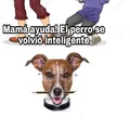 Plantilla del meme de"mamà ayuda el perro se volvió inteligente"solo si quieren denle positivo en mod