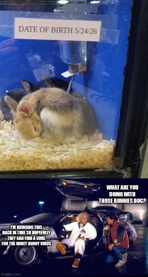 Meanwhile in 2026 Meme by Scoots291 ) Memedroid