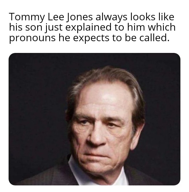Tommy Lee Jones face - meme